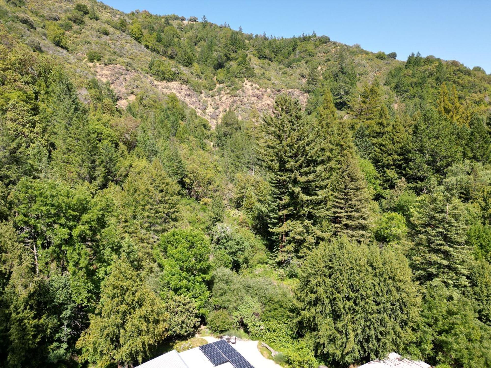 The Shack Hot Tub Outdoor Bbq Russian River Villa Guerneville Exterior photo